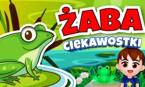 Jak rozmnażają się żaby? Zaskakujące etapy ich rozwoju w wodzie