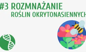 Jak rozmnażają się rośliny nasienne - zaskakujące procesy i różnice