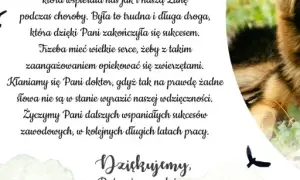 Jak napisać podziękowanie dla weterynarza i wyrazić wdzięczność