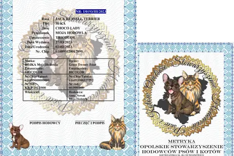 Ile kosztuje metryka dla psa? Sprawdź ceny i ukryte opłaty