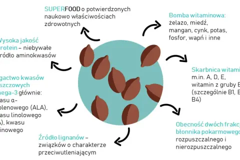 Siemię lniane dla psa – jak wspiera zdrowie i samopoczucie pupila