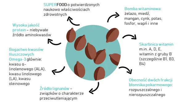 Siemię lniane dla psa – jak wspiera zdrowie i samopoczucie pupila