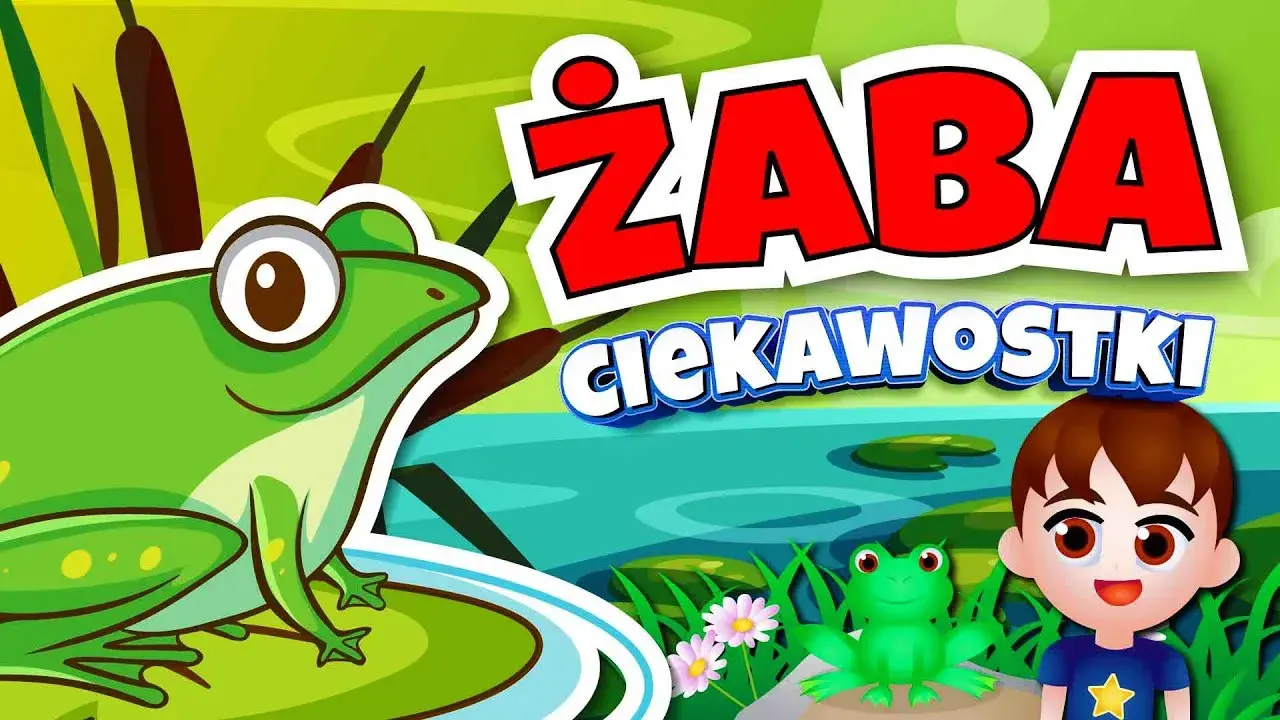 Jak rozmnażają się żaby? Zaskakujące etapy ich rozwoju w wodzie