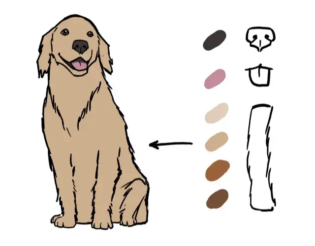 Jak narysować golden retrievera - proste kroki do udanego rysunku
