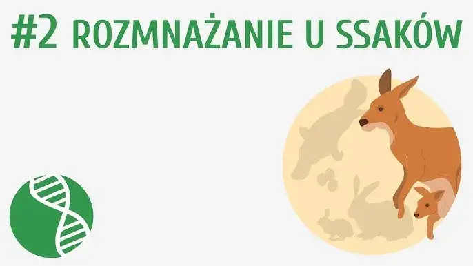 Zdjęcie Jak rozmnażają się ssaki? Odkryj zaskakujące metody i cechy